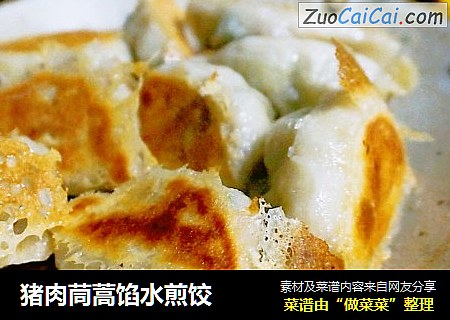 猪肉茼蒿馅水煎饺