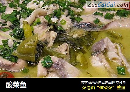 酸菜鱼