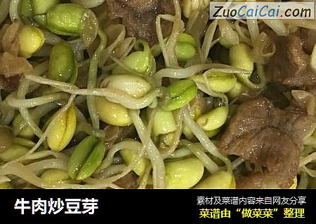 牛肉炒豆芽
