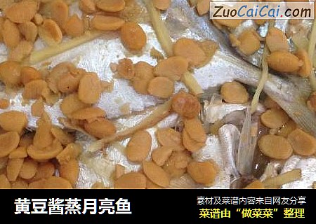 黄豆酱蒸月亮鱼