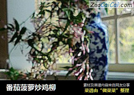 番茄菠萝炒鸡柳