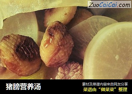 猪膀营养汤