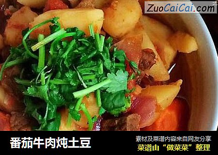 番茄牛肉炖土豆