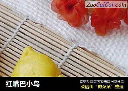 红嘴巴小鸟