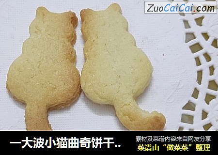 一大波小猫曲奇饼干来袭