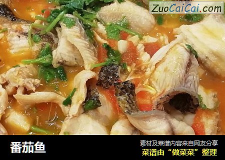 番茄鱼