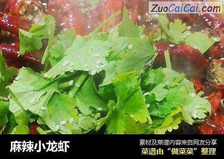 麻辣小龙虾