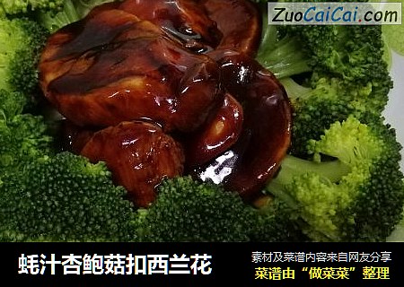 蚝汁杏鲍菇扣西兰花