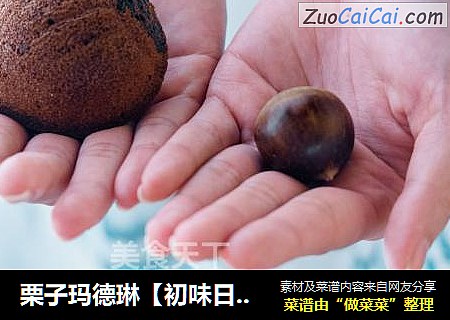 栗子玛德琳【初味日记】
