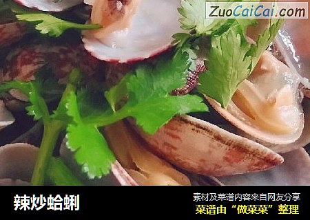 辣炒蛤蜊