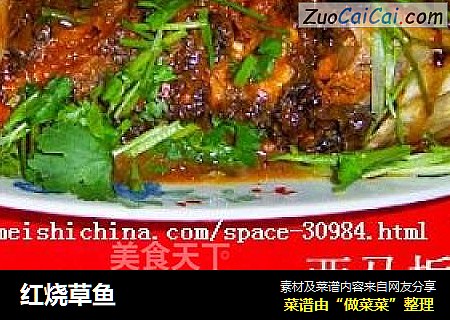 红烧草鱼