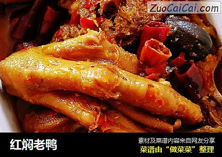 红焖老鸭