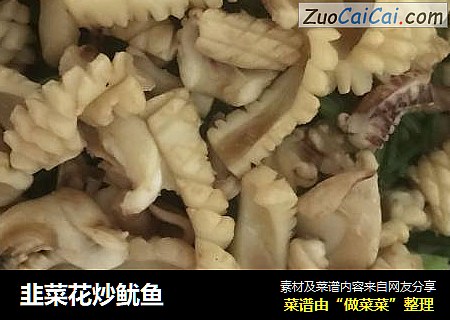 韭菜花炒鱿鱼