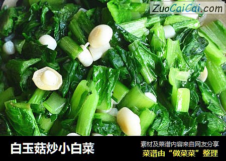 白玉菇炒小白菜