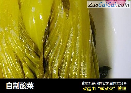 自制酸菜