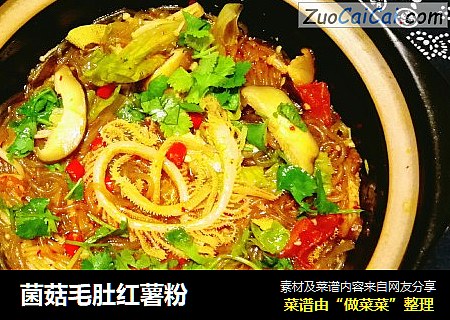 菌菇毛肚红薯粉