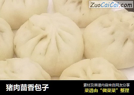 猪肉茴香包子