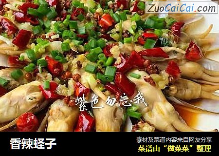 香辣蛏子