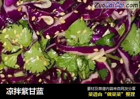 凉拌紫甘蓝