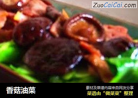 香菇油菜