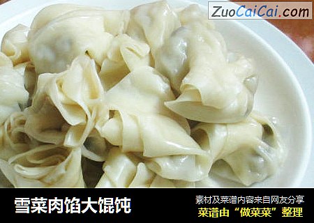 雪菜肉馅大馄饨