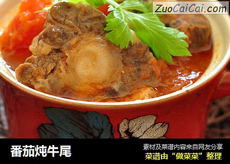 番茄炖牛尾