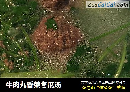牛肉丸香菜冬瓜汤
