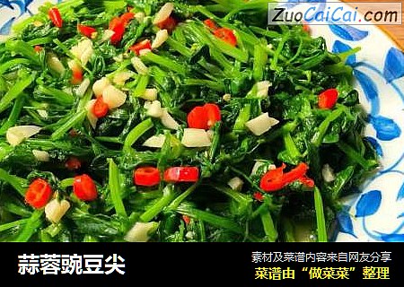 蒜蓉豌豆尖
