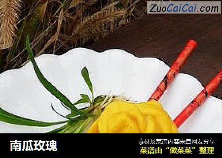 南瓜玫瑰