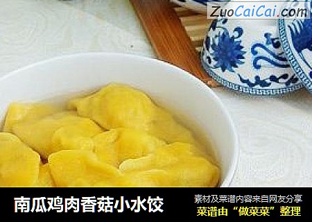 南瓜鸡肉香菇小水饺