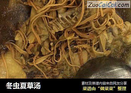 冬虫夏草汤