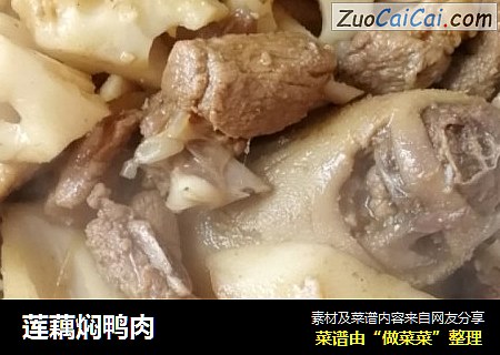 莲藕焖鸭肉