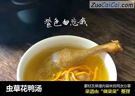 虫草花鸭汤