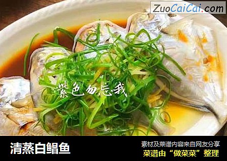 清蒸白鲳鱼