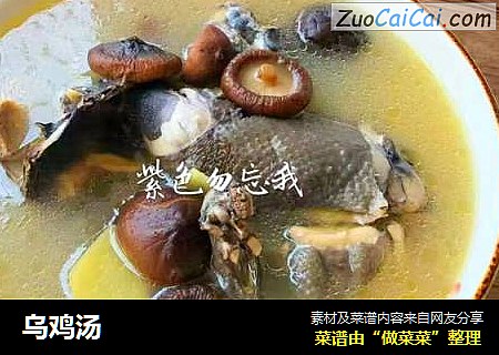 乌鸡汤