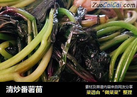 清炒番薯苗