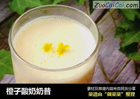 橙子酸奶奶昔