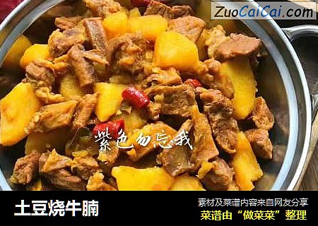 土豆烧牛腩