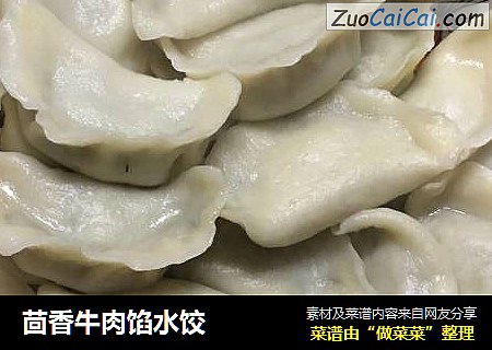 茴香牛肉馅水饺