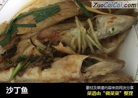 沙丁鱼