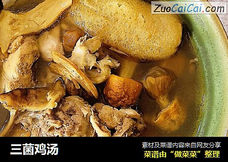 三菌鸡汤