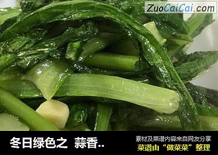 冬日绿色之  蒜香油麦菜
