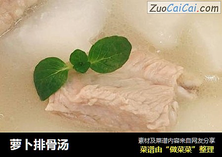 萝卜排骨汤
