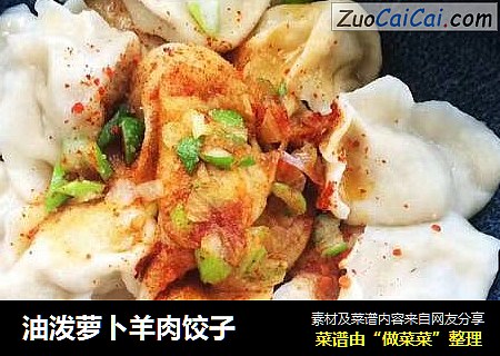 油泼萝卜羊肉饺子
