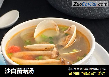 沙白菌菇汤