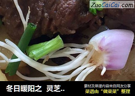 冬日暖阳之  灵芝水煮土豆牛肉