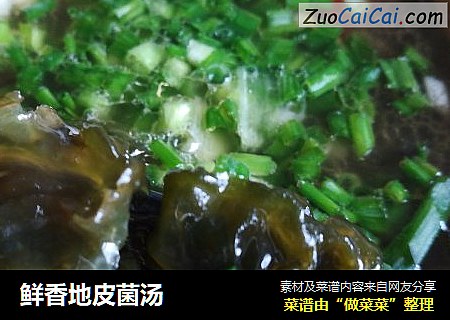 鲜香地皮菌汤