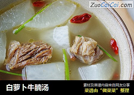 白萝卜牛腩汤