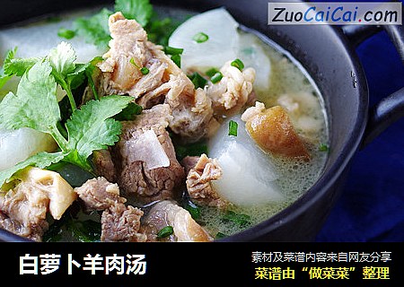 白萝卜羊肉汤