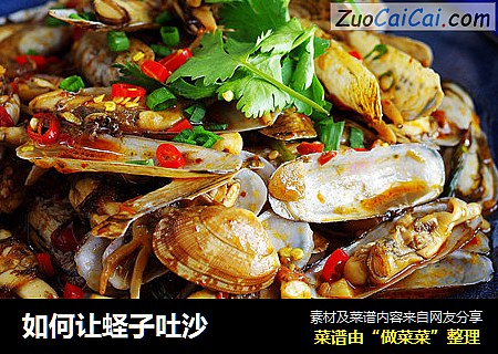 如何让蛏子吐沙